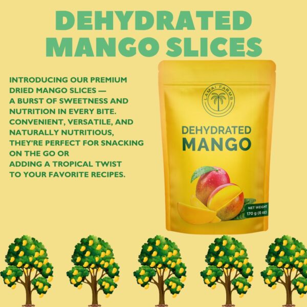 Premium Dried Mango Slices. Soft, Juicy, Sweet, and Delicious. Rich in Vitamins A & C, Antioxidants, and Fiber for a Healthy Lifestyle. Ideal for Healthy Snacking, Smoothies, and Culinary Creations - Resealable Pouch for Long-Lasting Freshness. Healthy Snack. (Pack of 2 (340g/12oz)) - Image 6