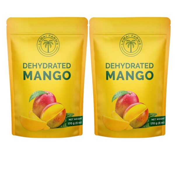 Premium Dried Mango Slices. Soft, Juicy, Sweet, and Delicious. Rich in Vitamins A & C, Antioxidants, and Fiber for a Healthy Lifestyle. Ideal for Healthy Snacking, Smoothies, and Culinary Creations - Resealable Pouch for Long-Lasting Freshness. Healthy Snack. (Pack of 2 (340g/12oz)) - Image 2