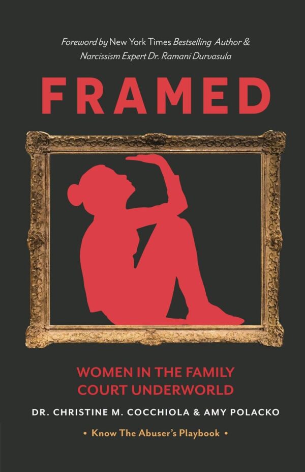 Framed: Women in the Family Court Underworld - Image 2