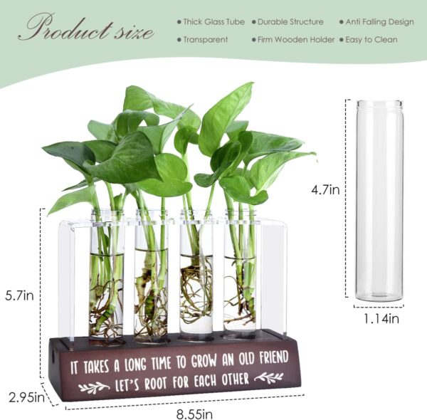 Friendship Gift for Women Friends Birthday Gifts for Best Friend Inspirational Long Distance Friendship Gifts Idea for Her Bestie BFF Desktop Friend Plant Propagation Station for Home Decoration - Image 3