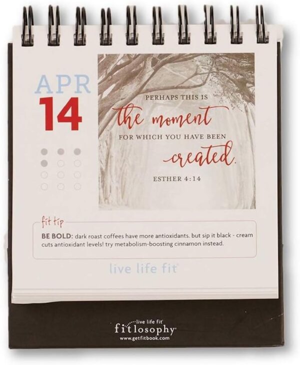 'Make Today Count' 365-Day Inspirational Perpetual Desk Calendar, Fitdesk 365-Day Perpetual Calendar (FITDESK-Cal) - Image 4