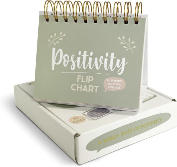 Positivity Motivational Weekly Calendar, Inspirational Gifts for Women, Daily Flip Desk Inspirational Quotes to Motivate Yourself & Brighten Your Day, Desk Decor Office Gift for Coworkers - Image 2