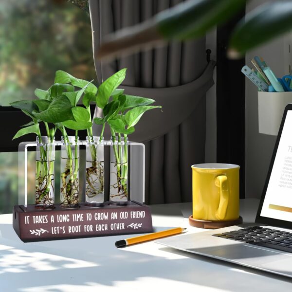 Friendship Gift for Women Friends Birthday Gifts for Best Friend Inspirational Long Distance Friendship Gifts Idea for Her Bestie BFF Desktop Friend Plant Propagation Station for Home Decoration - Image 6