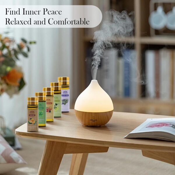 Pure Essential Oil Set 20 Pcs, For Oil Diffuser, Candle Making, Home Apartment, Skin Care, Aromatherapy Diffuser-Tea Tree, Lavender, Lemon, Peppemint, Eucalyptus, Cinnamon, Rose, Sandalwood, Patchouli - Image 4