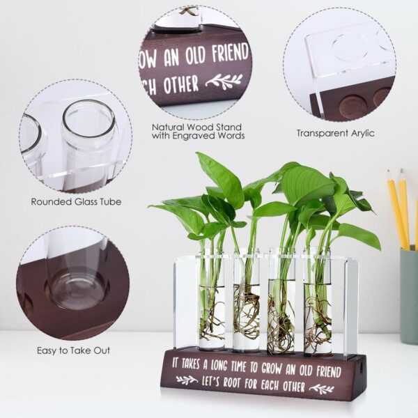 Friendship Gift for Women Friends Birthday Gifts for Best Friend Inspirational Long Distance Friendship Gifts Idea for Her Bestie BFF Desktop Friend Plant Propagation Station for Home Decoration - Image 4