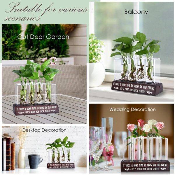 Friendship Gift for Women Friends Birthday Gifts for Best Friend Inspirational Long Distance Friendship Gifts Idea for Her Bestie BFF Desktop Friend Plant Propagation Station for Home Decoration - Image 7