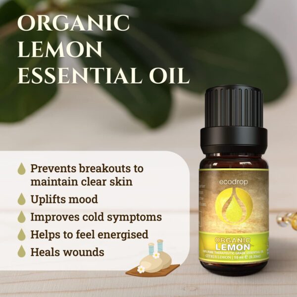 Ecodrop Pure Lemon Essential Oil - 0.34 Oz | 100% Natural Therapeutic Grade Italian Citrus Limon Oil | Aromatherapy Massage, Diffuser, Bath & Candle Oil for Clear Skin & Hair Growth | Organic - Image 3