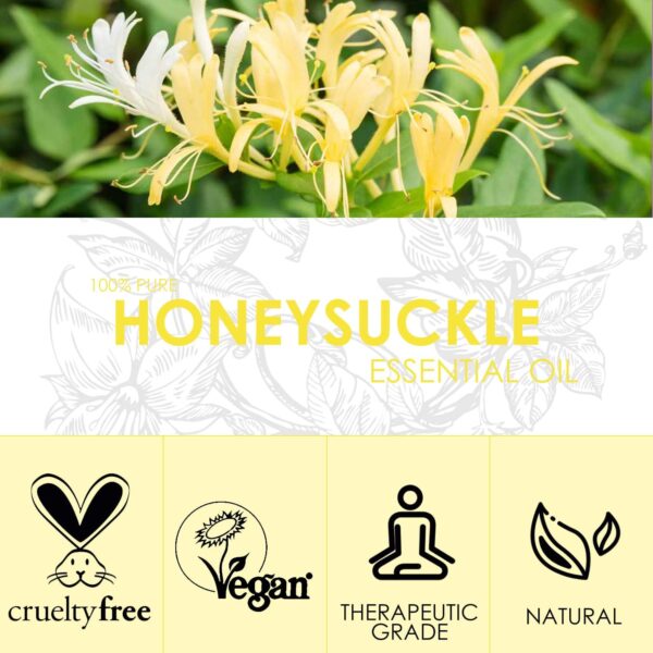 Honeysuckle Essential Oil 4 Fl Oz (120ml) - Pure and Natural Honeysuckle Fragrance Oil, Honeysuckle Oil for Diffusers, Candle Making, Massage, Soap - Image 3