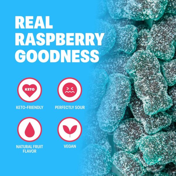 Shameless Snacks - Healthy Low Calorie Snacks, Low Carb Keto Gummies (Gluten Free Candy) - 6 Pack Sour Blue Raspberry - Image 6