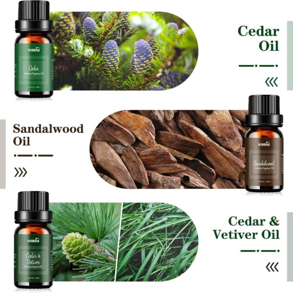 Essential Oils Set, Men Scents Fragrance Oil Essential Oils for Diffuser, Massage, Soap & Candle Making Scents - Sandalwood, Cedar, Cologne, Sweet Tobacco, Rum, Cedar & Vetiver Oils, 6x10ml - Image 3