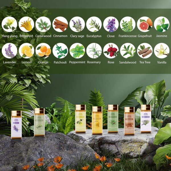 Pure Essential Oil Set 20 Pcs, For Oil Diffuser, Candle Making, Home Apartment, Skin Care, Aromatherapy Diffuser-Tea Tree, Lavender, Lemon, Peppemint, Eucalyptus, Cinnamon, Rose, Sandalwood, Patchouli - Image 3